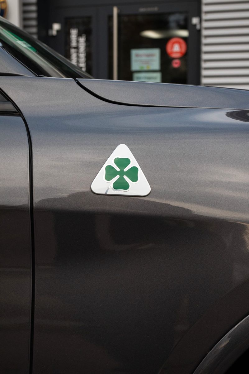 Fahrzeugabbildung Alfa Romeo Stelvio Quadrifoglio*Panorama*Leder*H&K*Kamera*