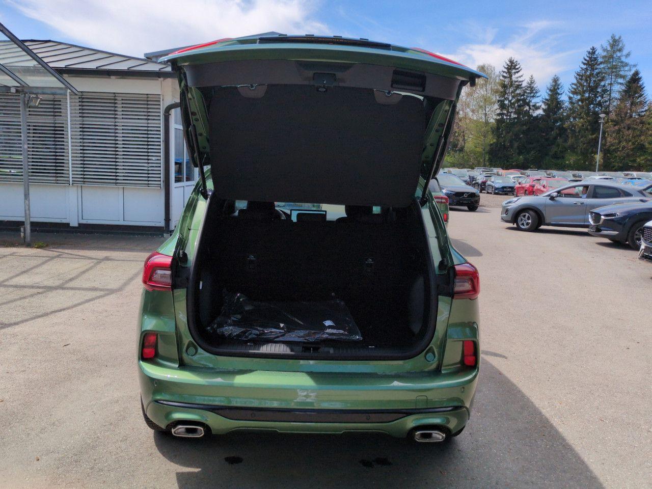 Ford Kuga 1.5 EcoBoost ST-Line Automatik Bluetooth, миниатюра 23