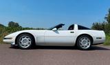 Corvette TOP Zustand Schaltgetriebe 305 PS Sehr Selten  - Corvette Gebrauchtwagen von 1992