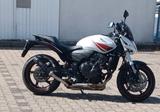 Honda Hornet 600.pc41  - HONDA HORNET 600 PC41