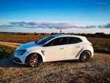Renault Megane TCe 300 GPF R.S. Trophy  - Renault Megane: Trophy