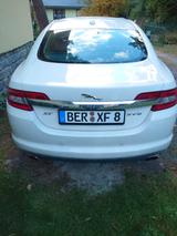 Jaguar XF 4.2 L Super V8 Super V8 - Jaguar: Super