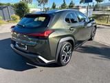 Lexus UX 250h Luxury Line Luxury Line - Lexus aus 2021