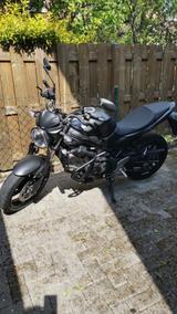 Suzuki SV 650 - Angebote