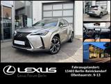 Lexus UX 250h Luxury Line HYBRID * Leder * Head-Up-Dis - gebrauchte Lexus Kleinwagen