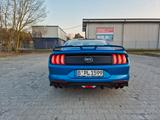 Ford Mustang 5.0 GT V8 Auto/ 1 Jahr Garantie - Ford Mustang: Garantie