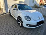 Volkswagen Beetle 1.2 TSI, Allwetterreifen, Pano, TÜV neu - Volkswagen Beetle mit Panoramadach