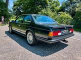 BMW M6 M635 CSi (E24) - BMW M6: 635csi