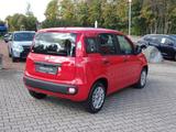 Fiat PANDA 1.2 8V EASY WENIG KILOMETER - SCHECKHEFT  - Fiat Panda in Chemnitz