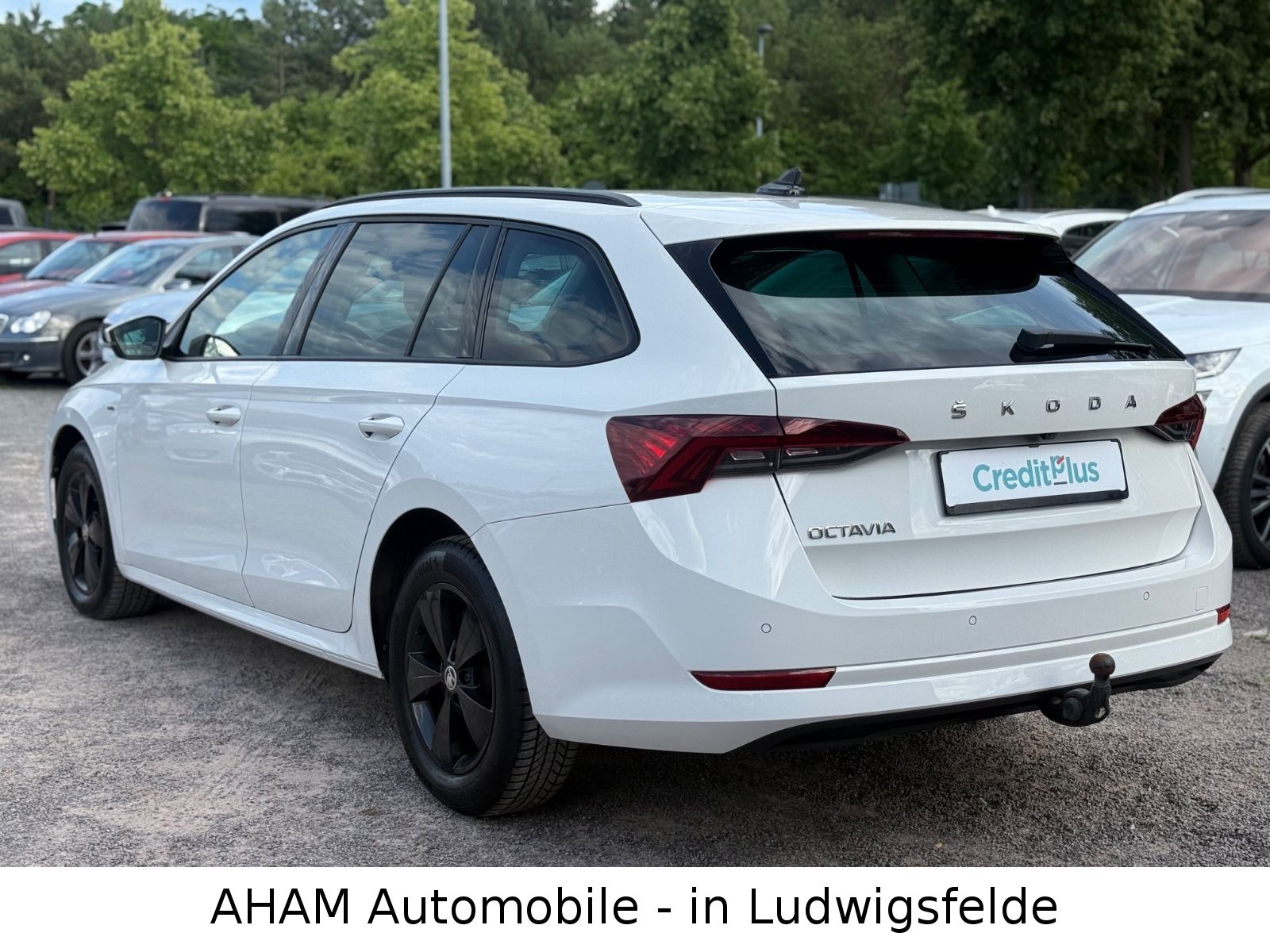 Skoda Octavia Combi Clever|STHZ|LKZ|ACC|AHK|4xSZH|MASS imagem 3