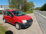 Fiat Panda - Fiat Panda Gebrauchtwagen in Münster
