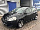 Fiat Punto 1.4  5-Türer  Gepflegter Zust... - Fiat Punto: Türer