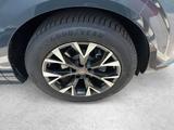 Cupra Terramar 1.5 eTSI 110 kW / Skyline Paket - blaue Cupra Terramar