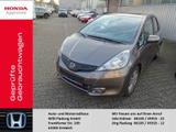 Honda Jazz 1.4 Elegance - Honda Jazz aus 2012 mit Benzin-Antrieb: Kleinwagen