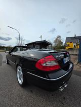 Mercedes-Benz CLK 500 AVANTGARDE AVANTGARDE - Mercedes-Benz CLK 500 Gebrauchtwagen
