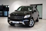 Mercedes-Benz ML 350|LUFT|MEMORY|KAMERA|PANORAMA|STANDHZG|AHK| - Mercedes-Benz ML-Klasse Gebrauchtwagen in Hamburg