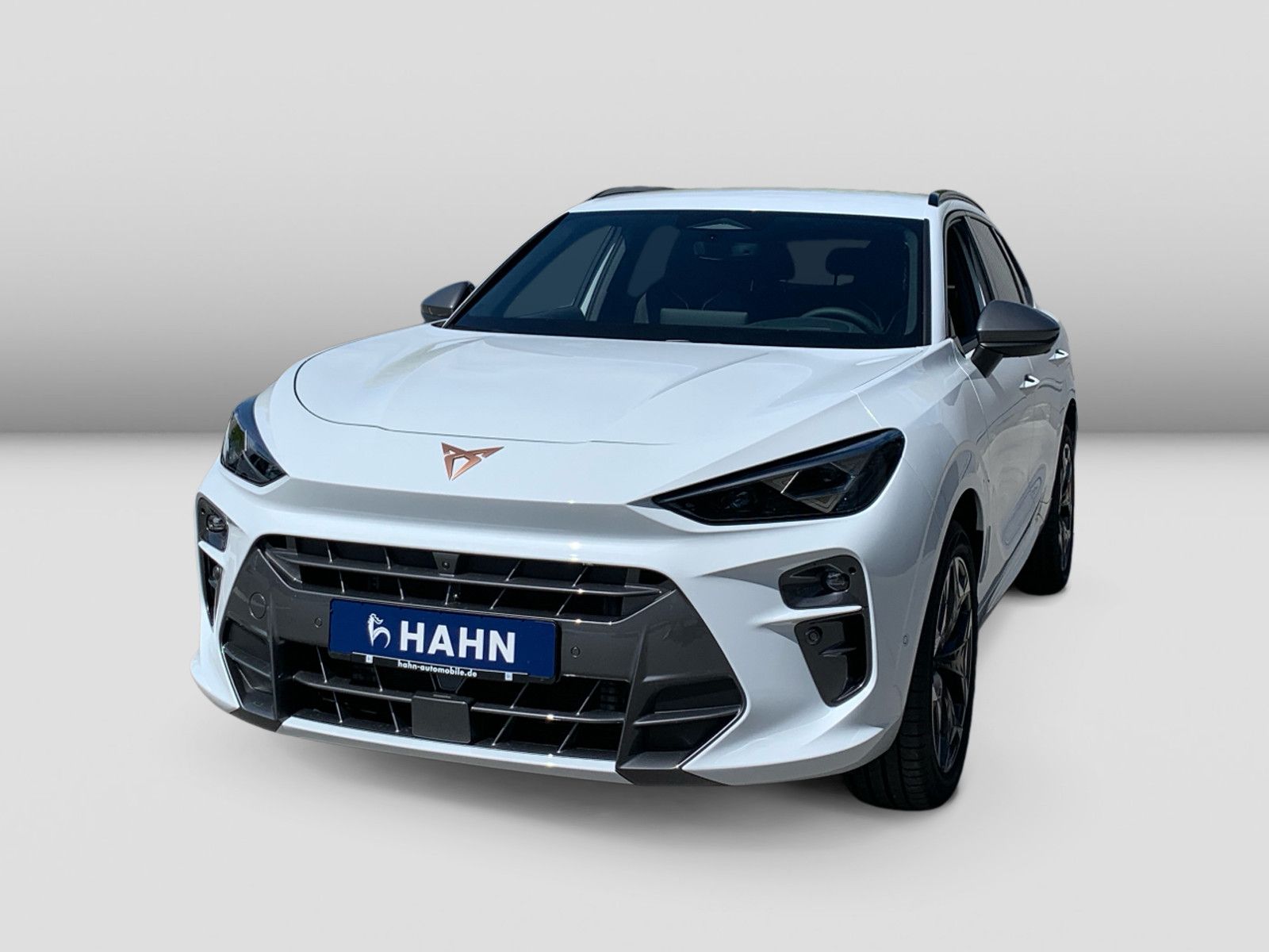 Cupra Terramar - Bild 2