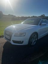 Audi A5 1.8 TFSI multitronic Cabriolet - - Audi A5: Multitronic