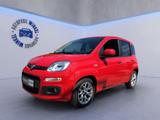 Fiat Panda Lounge *AUTOMATIK *8-FACH - Fiat Panda in Wiesbaden