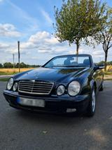 Mercedes-Benz CLK 320 ELEGANCE Cabrio, unfallfrei, scheckheft - Mercedes-Benz aus 2001: Cabrio, Clk