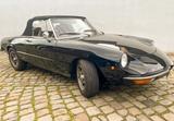 Alfa Romeo Spider Junior 1300 Bj. 1970 - Alfa Romeo Spider in Essen
