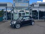 MINI Cooper Cabrio Leder Navi Xenon Chili Wired - MINI Cooper Cabrio: Braun