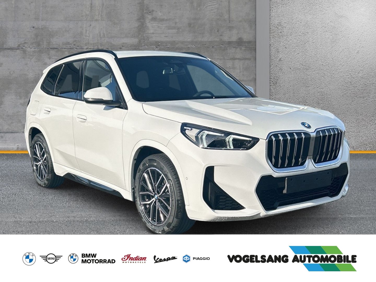Fahrzeugabbildung BMW X1 25 e M Sport xDrive 25e M Sport Sportpaket AD