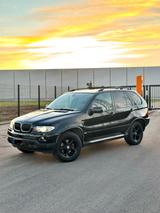 BMW X5 E53 3.0D Sportpaket / 2 -Hand - BMW X5: E53