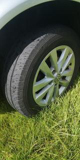 Volkswagen T6 Transporter 4 Motion Lang Standh. ACC  AHK  - VW T6 Transporter von privat