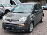 Fiat Panda Hybrid 1,0GSE TechPaket - Fiat Panda Gebrauchtwagen in Augsburg