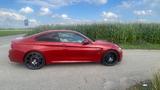 BMW M4 Competition LCI ohne OPF f82 Originalzustand - BMW M4: F82