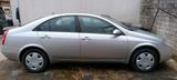 Nissan Primera - Nissan Primera von privat