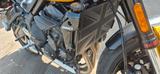 Triumph Trident 660 - TRIUMPH TRIDENT