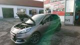 Renault Scenic 3 Bose Edition/Navi - Renault Scenic in Dresden