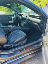 Ford Mustang Shelby GT350  - Ford Mustang: Gt350 Shelby