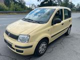 Fiat Panda 1.2  1.Hand, Euro5, Klima, TÜV Neu - Fiat Panda: Eu
