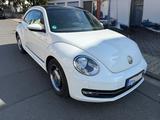 Volkswagen Beetle 1.2 TSI  CUP 