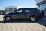 Volkswagen Golf VIII Variant 1.0 TSI LED Navi PDC SHZ ACC - Volkswagen Golf: Kombi, Viii