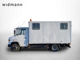 Mercedes-Benz Vario 616 D Koffer Werkstattkoffer Diff.sperre A - Mercedes-Benz 616