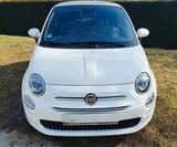 Fiat 500C CABRIO MILD-HYBRID PERLMUTTWEISS - Fiat 500C von privat