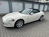 Jaguar XK 4.2 Cabrio XENON NAVI LEDER JAGUAR SERVICE - Jaguar XK: Cabrio, 4.2