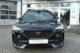 Cupra Formentor 1.5 TSI DSG*LED*Leder*Virtual*ACC* - Cupra Gebrauchtwagen von 2024