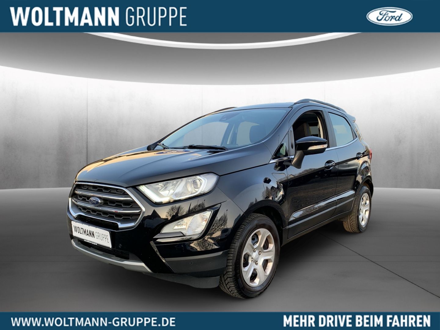 Fahrzeugabbildung Ford EcoSport Titanium, Navigation, Sitz-u. Lenkradhe