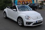 Volkswagen Beetle Cabriolet Sound Navi PDC BMT/Start-Stopp - gebrauchte VW Beetle aus dem Jahr 2017