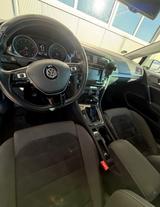 Volkswagen VW Golf 7 Highline - 1.4 TSI  - Bj. 05.2013 - Volkswagen Golf: Bj