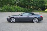 Jaguar XK 5.0 V8 Portfolio Cabriolet , Top gepflegt