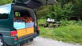 Volkswagen T4 Caravelle 2,5-l-Diesel TDI 111kW - Volkswagen T4 Caravelle: Grün