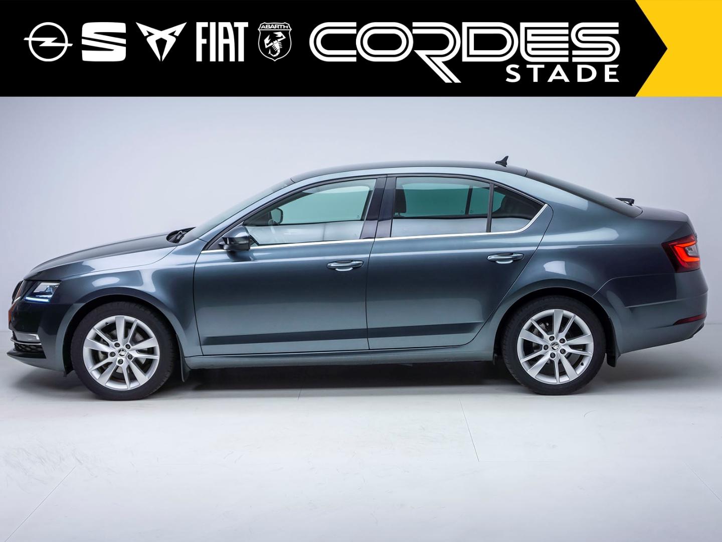 Skoda Octavia Style AUTOMATIK WINTERPAKET NAVI  (GW91)