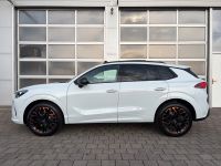 Cupra Terramar VZ 2.0 TSI DSG 4Drive 5J GAR *AKTION* bei Autohaus Landmann & Maier OHG