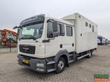 MAN TGL 12.180 4x2 DoKa 7-sitze Euro5 EEV | Pferde - MAN Schlepper 4p1